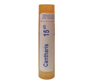 CANTHARIS 15 CH